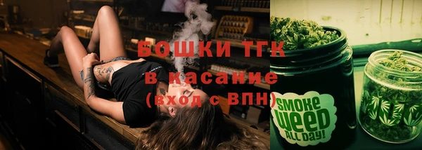 ГАЛЛЮЦИНОГЕННЫЕ ГРИБЫ Балахна