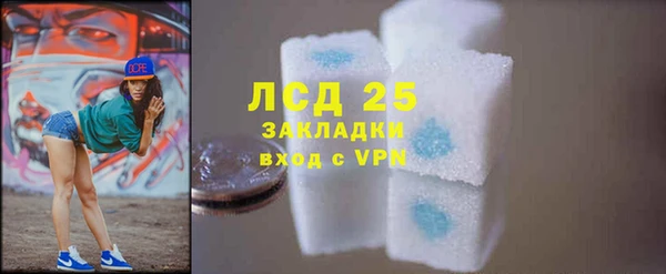 ГАЛЛЮЦИНОГЕННЫЕ ГРИБЫ Балахна